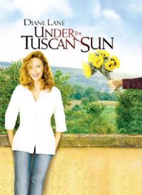 �����м��ڡ�Ӱ�ӽ�˵��