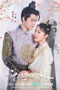 ��̽������Ӽ�