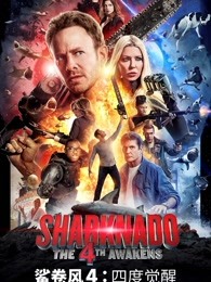 �����4���ĶȾ���