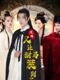 ��ѽ�ֱ�����װ����