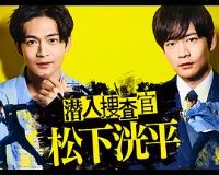 Ǳ���Ѳ������ƽ