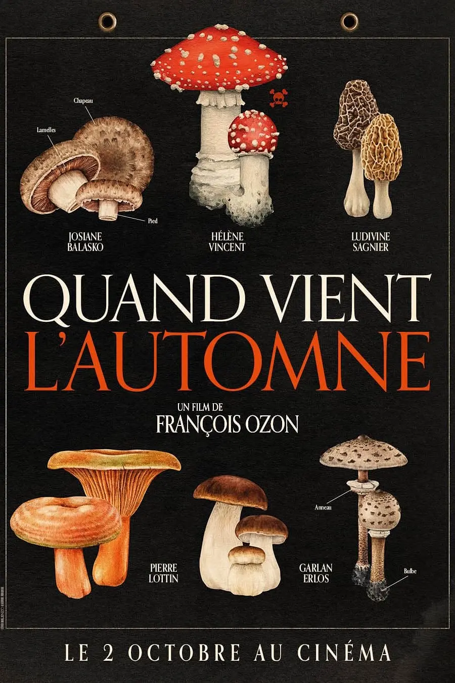 ���պ�ʱ��