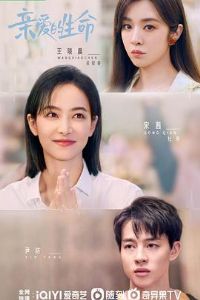 �װ�������